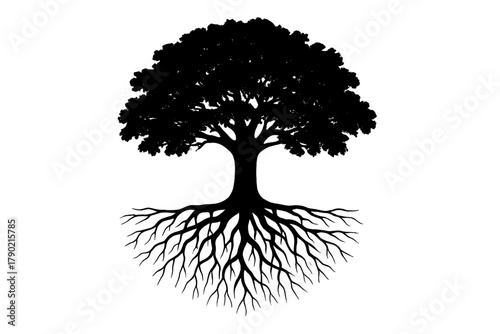 Majestic tree silhouette with large dense canopy and intricate exposed root system
