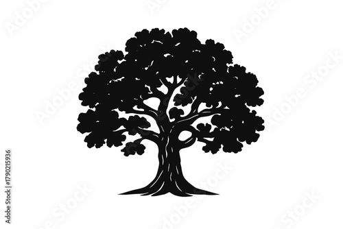 Stylized silhouette of a mature deciduous tree with dense foliage and thick trunk isolated on white