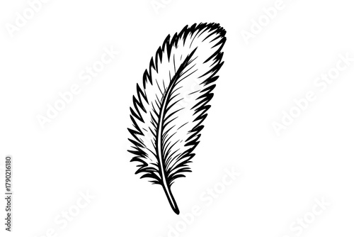 Detailed black and white hand drawn single bird feather isolated on a white background