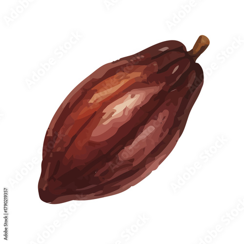 Watercolor-style cocoa bean illustration