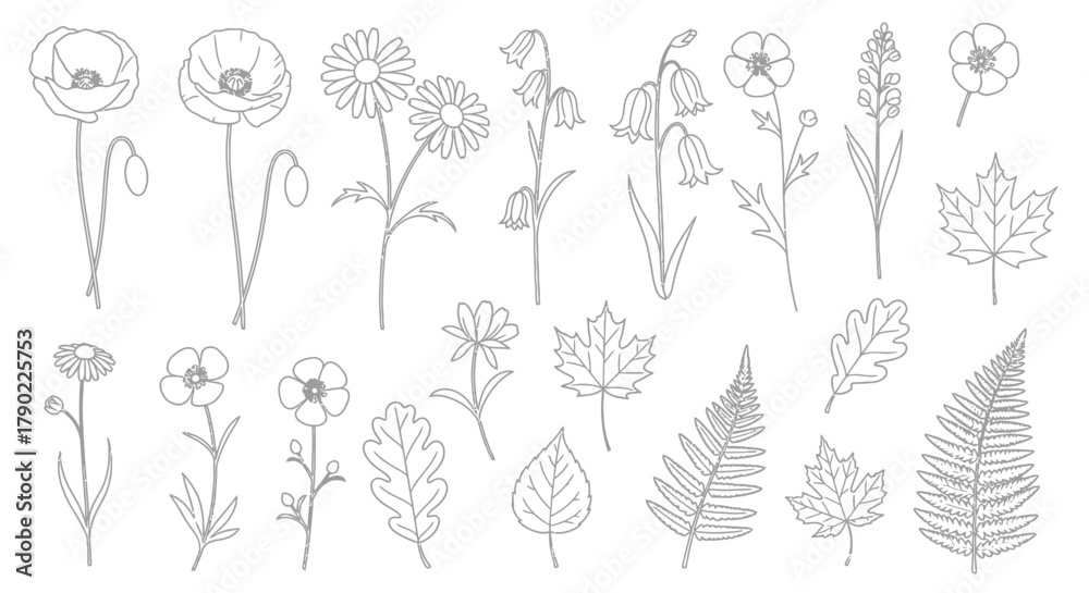 Fototapeta premium Elegant botanical line art illustration showcasing various flowers and leaf silhouettes isolated