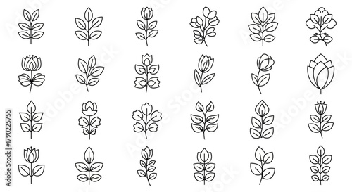 Botanical Illustration Set: A Variety of Hand-Drawn Floral and Foliage Elements Vector Design