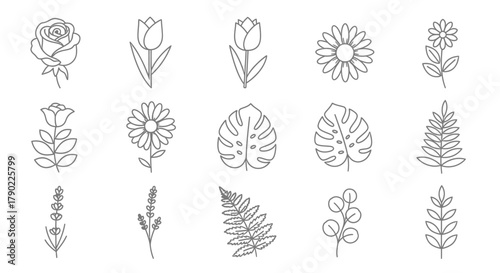 Botanical line art illustration displaying various stylized flower and leaf shapes for graphic