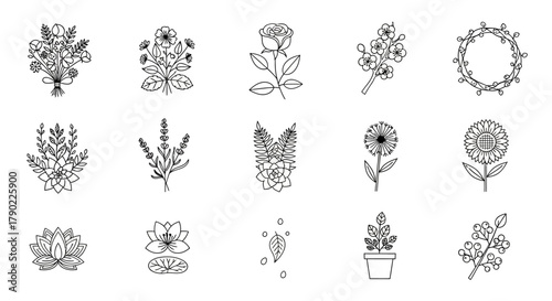 Variety of botanical line art sketches for design and decoration projects showcasing plant diversity