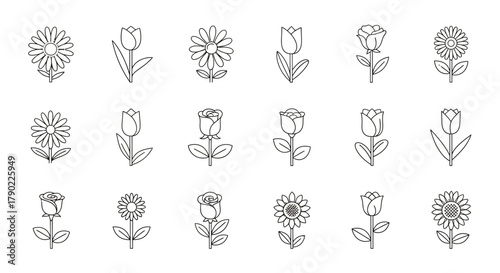 Delicate Line Art Flower Set for Creative Design and Elegant Floral Decorations
