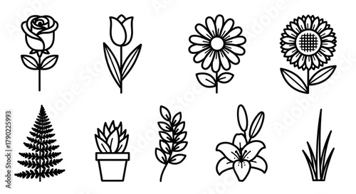 Elegant botanical line art collection offering a diverse selection of flora elements and nature