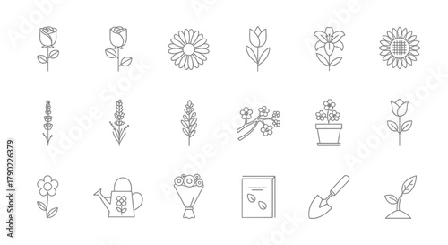 Delicate outline icons representing garden flowers and gardening tools, a botanical illustrations