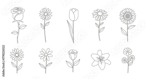 Elegant outline sketches of various floral designs featuring roses tulips daisies sunflower and lily
