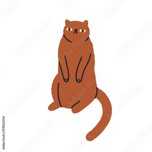 Funny cat in comic sitting pose. Cute feline in awkward mem position with wai...