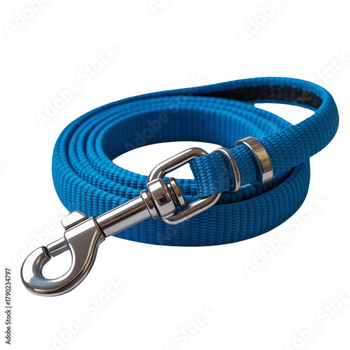 Rolled Blue Nylon Dog Leash with Silver Metal Clasp on White Background pet leash canine leash isolated on a transparent background