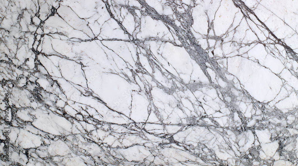 Fototapeta premium White marble surface with intricate grey veining stone texture