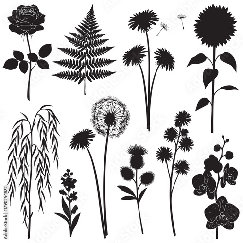 Black silhouette collection of various flowers and plants including rose fern dandelion willow orchid