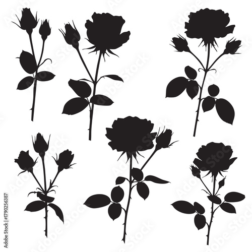 Black silhouette rose flowers and buds on stems with leaves and thorns on white background vector