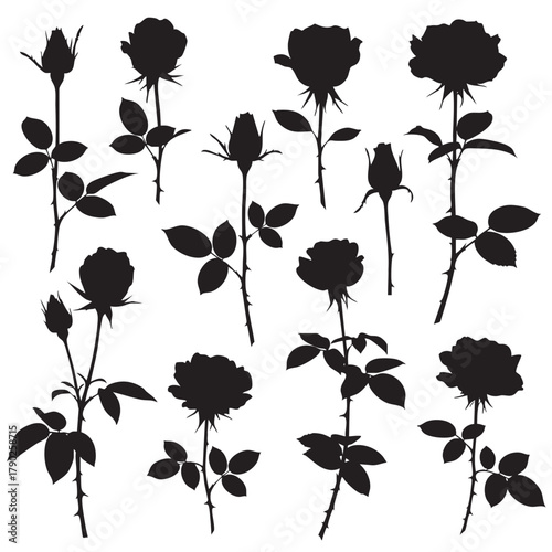 Collection of black rose silhouettes with buds and leaves on white background flower