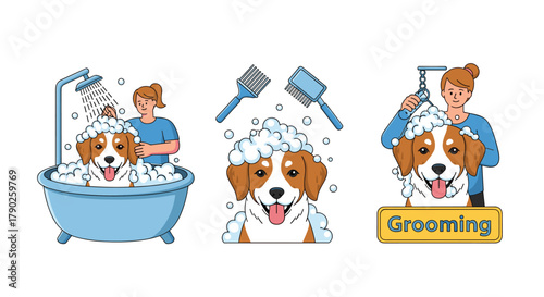 A happy brown and white dog enjoys the grooming process, from a bubbly bath with a woman to being brushed and cared for, illustrating pet care.