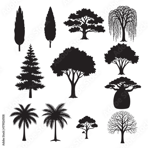 Collection of black silhouette trees including cypress pine palm baobab and weeping willow tree silhouette