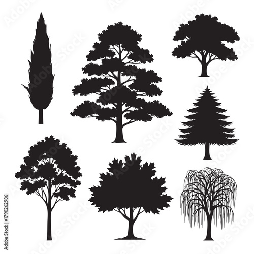 Collection of black tree silhouettes including cypress pine oak maple and weeping willow black and white