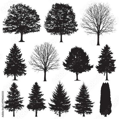 Collection of black tree silhouettes including deciduous and evergreen varieties white