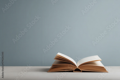 clean minimalist background featuring open selfdevelopment book with blurred white text bars overlayed