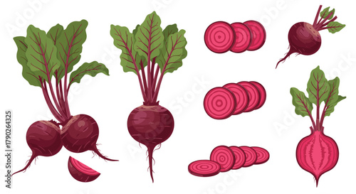 A colorful collection of fresh red and pink beets, depicted whole with green leaves, as single roots, and in various neatly sliced forms, isolated on white.