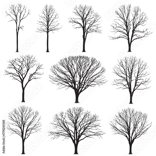 Collection of nine black silhouette bare trees with intricate branches on a white background