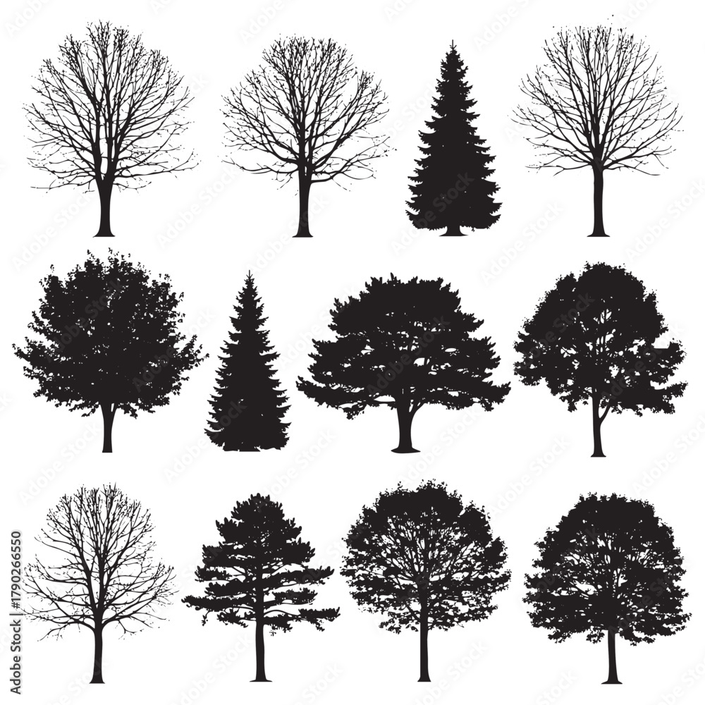 Obraz premium Collection of twelve black tree silhouettes on a white background including deciduous and coniferous varieties