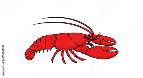 Bold red lobster illustration on a clean white backdrop, featuring detailed claws and antennae for