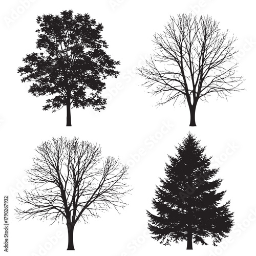 Four black silhouette trees including a deciduous tree with leaves a bare branched tree and a pine tree