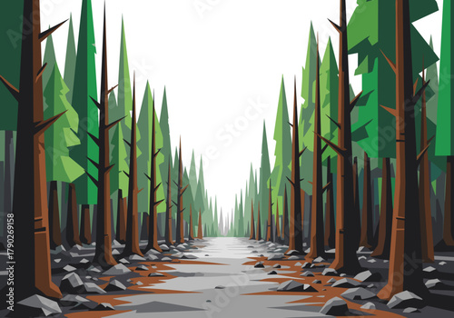Forest path surrounded by tall green trees and rocky terrain  