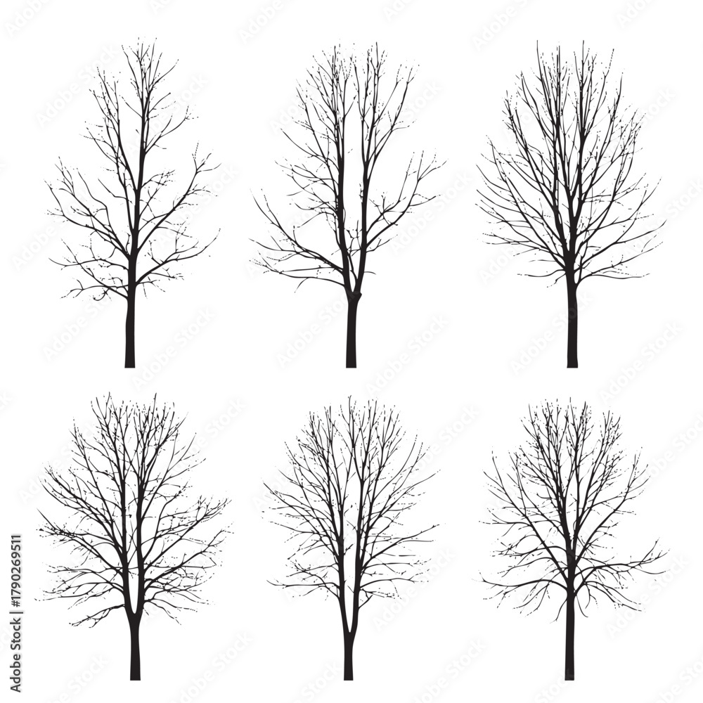 Obraz premium Six black bare trees with intricate branching patterns on white background winter tree silhouette