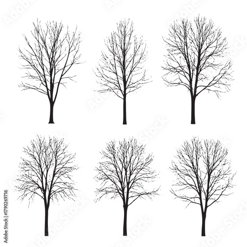 Six black silhouette bare trees with intricate branches against a white background winter tree