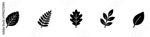 Black leaves icons set in flat style. Collection of leaf silhouettes for environment, nature, eco signs. Organic, vegan, bio, natural product. Ecology plant sprout element.