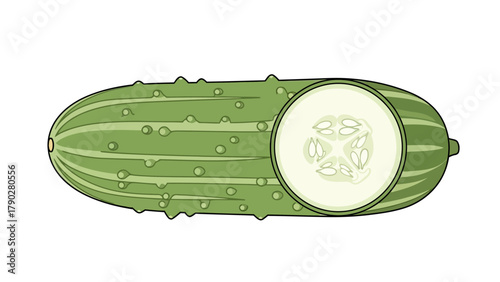 A detailed illustration of a whole cucumber with one crosssection visible