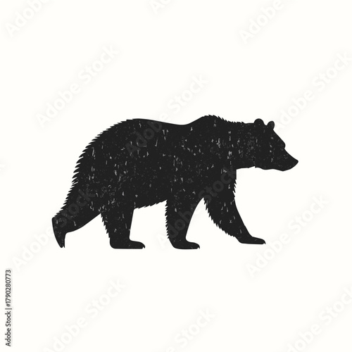 bear silhoutte vector 