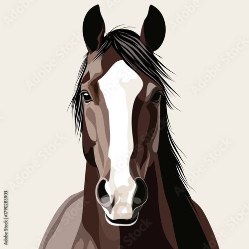 Close-up portrait of brown horse with white blaze on face looking forward minimalist flat vector illustration isolated on light background for equestrian design