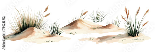 Watercolor illustration of sandy coastal dunes with wild grass and sea oats isolated on white background in minimalist style vector design artwork