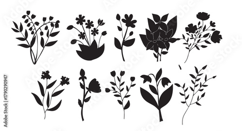 concept big set vector different flowers plants black