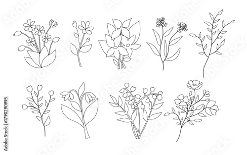 concept big set vector flowers plants black silhouette 