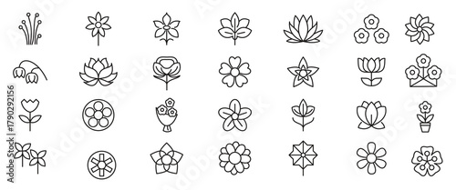 Flower line icon set. rose, tulip, daisy bouquet,  violet, jasmine, calendula, echinacea, iris, chamomile,  gardening,  landscaping, sunflower, lily, dandelion, chrysanthemum line icon set. 
