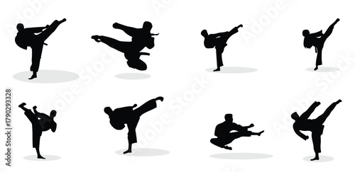 vector illustration of karate martial arts silhouette