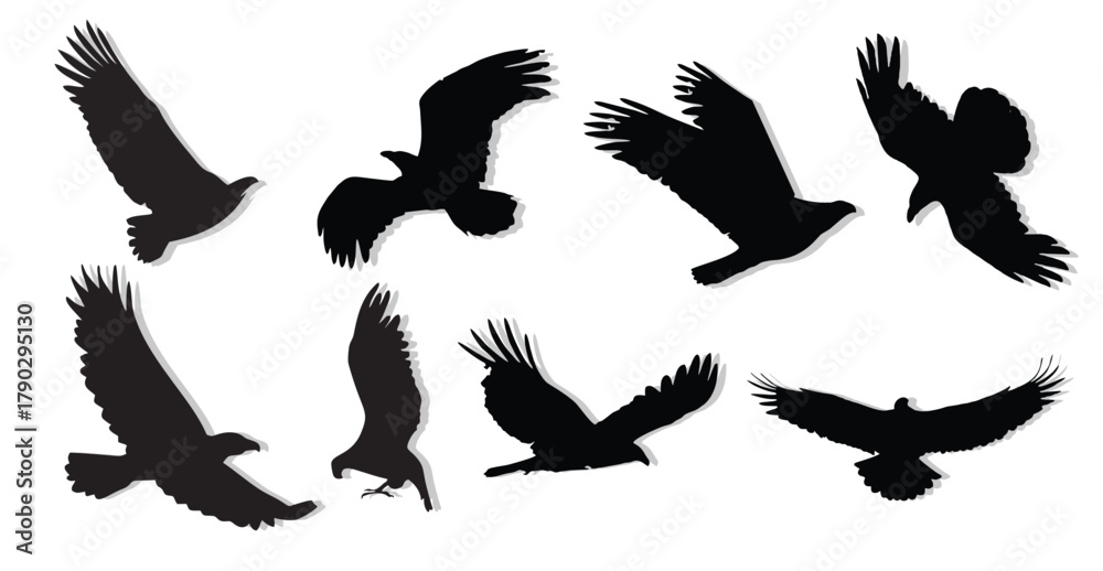 Obraz premium buzzard eagle silhouettes vector.