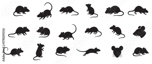 Collection of black mouse silhouettes of various poses, isolated on white background. concept of icons, logos, rodent, animal, design element, wildlife, set illustration