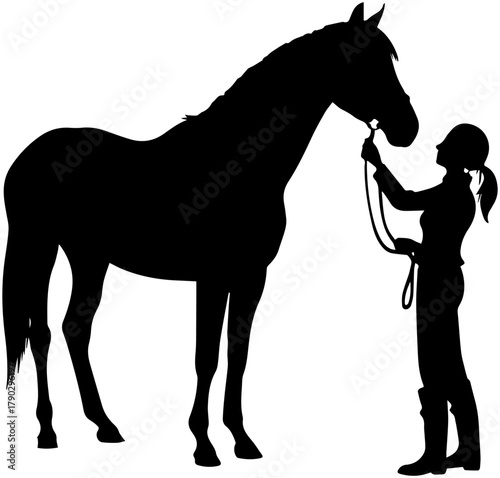 Silhouette of Person and Horse – Equestrian Bond and Care