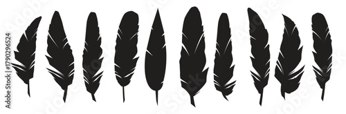 feathers silhouette vector set