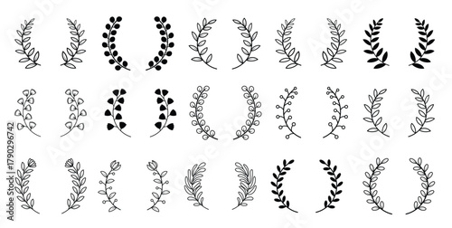 Leaf divider and floral dividers set. Laurels wreaths frames branches decorative elements.