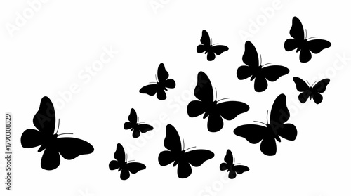 Silhouette butterflies flying vector illustration graphic design