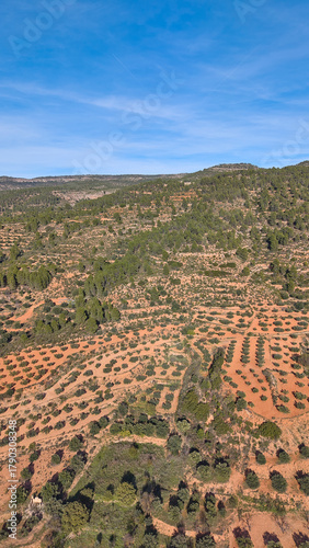 Aerial view of Mediterranean hills covered with olive groves and pine trees under a clear blue sky. The terraced slopes and winding rural road show the beauty of Spanish countryside near Valencia.
