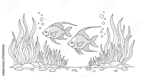 Line art illustration of two angelfish swimming among aquatic plants and bubbles.