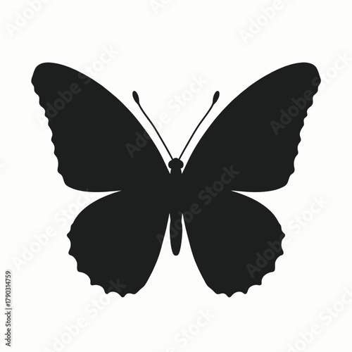 butterfly vector illustration
