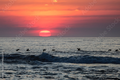 Corolla Sunrise